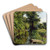 Reflections of Spring by Peder Mrk Mnsted Art Drink Coaster set