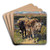 Zwei Esel by Heinrich Von Zgel Art Drink Coaster set