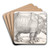 The rhinoceros by Albrecht Drer Art Drink Coaster set The rhinoceros by Albrecht Drer Art Drink Coaster set