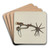 Spur by Robert W.R. Taylor Art Drink Coaster set
