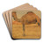 Dromedar by Wilhelm Kuhnert Art Drink Coaster set Dromedar by Wilhelm Kuhnert Art Drink Coaster set