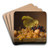 Still Life With Grapes by Johann Wilhelm Preyer Art Drink Coaster set