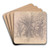 Oak Trees by Vilhelm Hammershi Art Drink Coaster set
