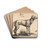 A Dog Looking to the Right by Tobias Stimmer Drink Coasters - set of 4