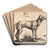 A Dog Looking to the Right by Tobias Stimmer Art Drink Coaster set