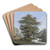 Baumreiche Landschaft, in der Mitte eine Eiche am Ufer eines Flusses by Johann David Passavant Art Drink Coaster set