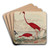 Wood Ibis, Scarlet Ibis, Flamingo, and White Ibis by John G. Warnicke Art Drink Coaster set