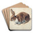 Rabbit by Floris Verster Art Drink Coaster set Rabbit by Floris Verster Art Drink Coaster set