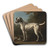 A Grey Spotted Hound by John Wootton Art Drink Coaster set A Grey Spotted Hound by John Wootton Art Drink Coaster set