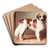 Portrait of a St. Bernard by Carl Reichert Art Drink Coaster set