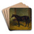 Hastings in a Stable by Henry Stull Art Drink Coaster set