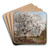 Apple Tree in Blossom by Carl Fredrik Hill Art Drink Coaster set