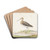 Watersnip by Pieter Withoos Drink Coasters - set of 4 Watersnip by Pieter Withoos Drink Coasters - set of 4
