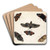 Studies Of Five Butterflies And A Hawk Moth by Jan Van Kessel The Elder Art Drink Coaster set Studies Of Five Butterflies And A Hawk Moth by Jan Van Kessel The Elder Art Drink Coaster set