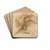 A Bird Perched on a Branch with Fruit by Andrea Mantegna Drink Coasters - set of 4