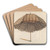 Parasol by Douglas Cox Art Drink Coaster set