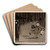 Goblin Lanterns by Helen Hyde Art Drink Coaster set Goblin Lanterns by Helen Hyde Art Drink Coaster set
