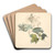 Kalkved. (Viburnum) by P. C. Skovgaard Art Drink Coaster set