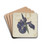 Iris by Georgius Jacobus Johannes van Os Drink Coasters - set of 4