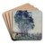 The wattles by Elioth Gruner Art Drink Coaster set