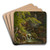 Waterfall in the Mnster Valley by Peter Birmann Art Drink Coaster set