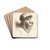 Gammel kvinde med pelshue by Cornelis Pietersz. Bega Drink Coasters - set of 4