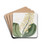 Shewy Dendrobium by Sydenham Edwards Drink Coasters - set of 4
