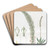 Tall Lizard's Tongue by Sydenham Edwards Art Drink Coaster set Tall Lizard's Tongue by Sydenham Edwards Art Drink Coaster set