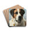 St Bernard by Carl Reichert Drink Coasters - set of 4