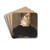 Portrait of Karen Bramsen by Vilhelm Hammershi Drink Coasters - set of 4