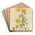 Long-stalked Ledocarpum by Sydenham Edwards Art Drink Coaster set