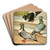 C. Sturnicollis by Gustav Prtz Art Drink Coaster set
