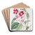 The Cherere Bignonia by Sydenham Edwards Art Drink Coaster set The Cherere Bignonia by Sydenham Edwards Art Drink Coaster set