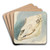 Studie eines Tierschdels by Ferdinand Keller Art Drink Coaster set