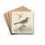 Pied Wagtail and Dragonfly by George Edwards Drink Coasters - set of 4 Pied Wagtail and Dragonfly by George Edwards Drink Coasters - set of 4