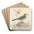 Pied Wagtail and Dragonfly by George Edwards Art Drink Coaster set Pied Wagtail and Dragonfly by George Edwards Art Drink Coaster set