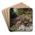 Pink and White Rhododendron in a Forest by Thomas Allen, Jr. Art Drink Coaster set Pink and White Rhododendron in a Forest by Thomas Allen, Jr. Art Drink Coaster set