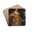 Diana Kirke, later Countess of Oxford by Sir Peter Lely Drink Coasters - set of 4 Diana Kirke, later Countess of Oxford by Sir Peter Lely Drink Coasters - set of 4