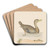 Roan Duck by John Abbot Art Drink Coaster set