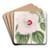 Musk Hibiscus by Sydenham Edwards Art Drink Coaster set