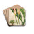 Philodendron calophyllum by Charles Antoine Lemaire Drink Coasters - set of 4