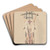 Geslacht varken by Jean Bernard Art Drink Coaster set