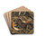 Pinson des Ardennes by Lo-Paul Robert Drink Coasters - set of 4