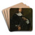 Portrait of a Man by Adriaen Hanneman Art Drink Coaster set