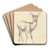 A Young Deer by Robert Hills Art Drink Coaster set