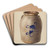 Jar by Yolande Delasser Art Drink Coaster set Jar by Yolande Delasser Art Drink Coaster set
