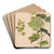 Ivy twig and grapevine twig by Henryka Beyer Art Drink Coaster set Ivy twig and grapevine twig by Henryka Beyer Art Drink Coaster set
