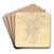 Study of Apple Trees by Robert Hills Art Drink Coaster set