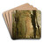 Un chemin sous les arbres au printemps by Jean-Baptiste-Camille Corot Art Drink Coaster set