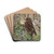 Accenteur des Alpes by Lo-Paul Robert Drink Coasters - set of 4